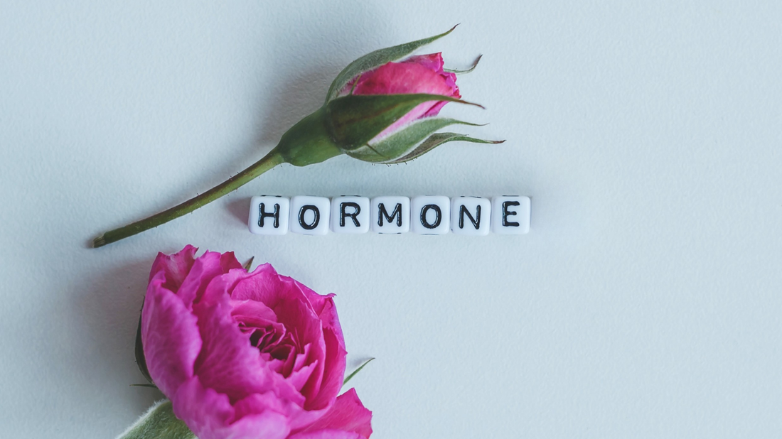 Hormone und Zahngesundheit